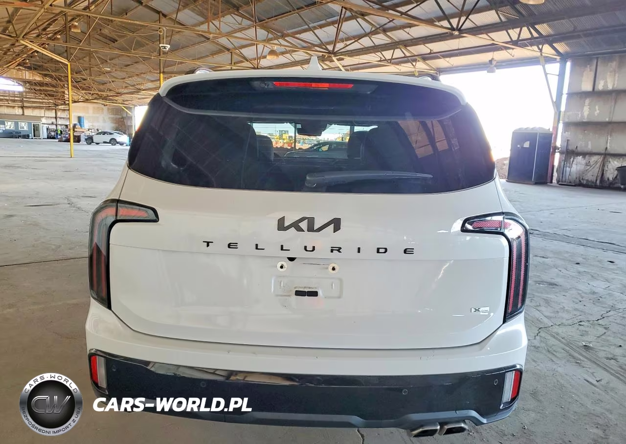 2025 Kia Telluride Sx-Prestige X-Line VIN:5XYP5DGC7SG713448 - 6