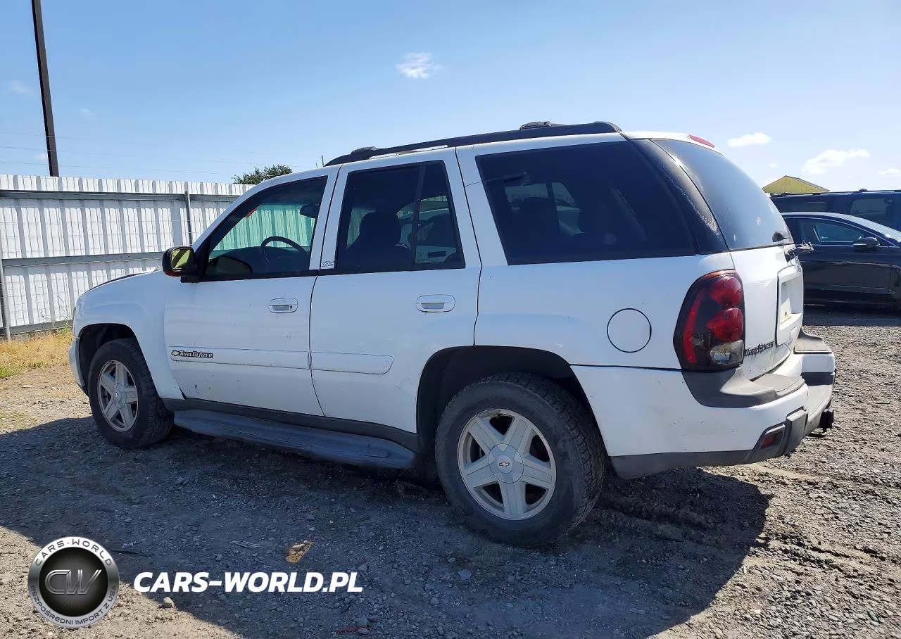 2002 Chevrolet Trailblazer VIN:1GNDT13S722456345 - 2