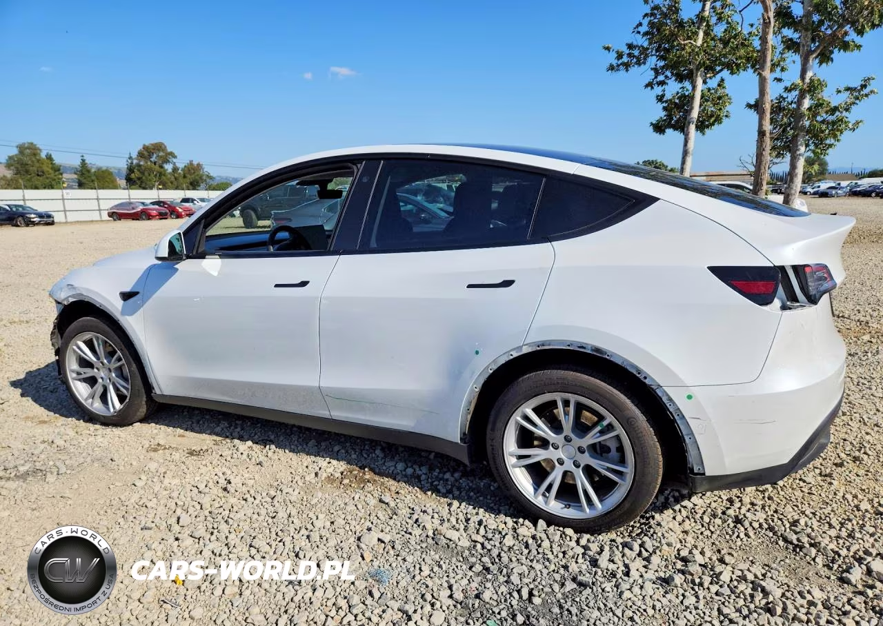 2022 Tesla Model Y VIN:7SAYGDEE3NF561282 - 2