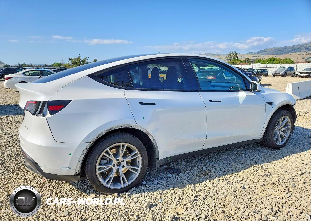 2022 Tesla Model Y VIN:7SAYGDEE3NF561282 - 3