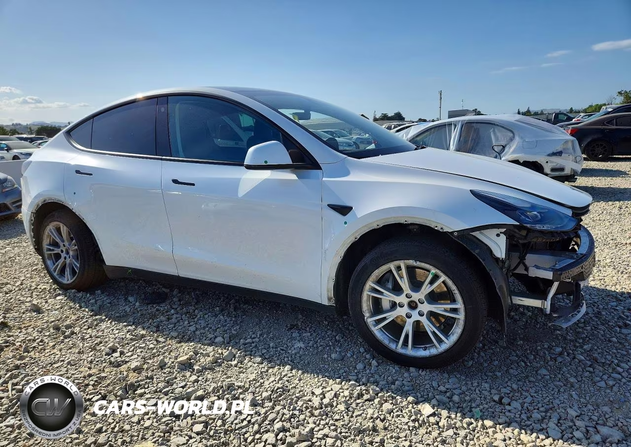 2022 Tesla Model Y VIN:7SAYGDEE3NF561282 - 4