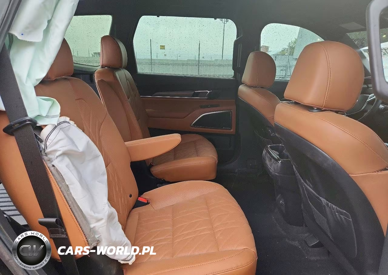 2025 Kia Telluride Sx X-Line VIN:5XYP5DGC1SG698171 - 10