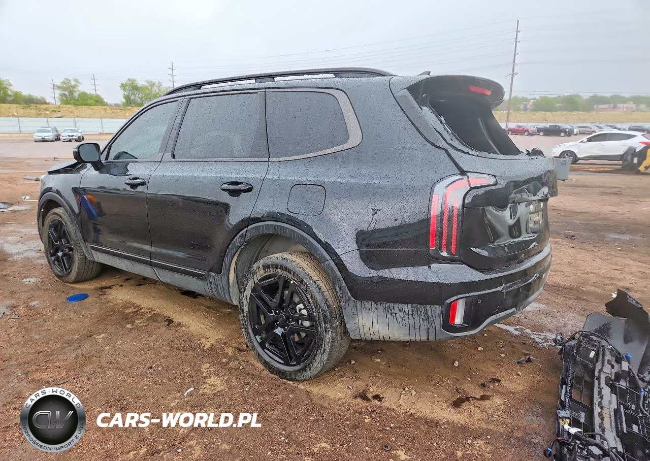 2025 Kia Telluride Sx X-Line VIN:5XYP5DGC1SG698171 - 2