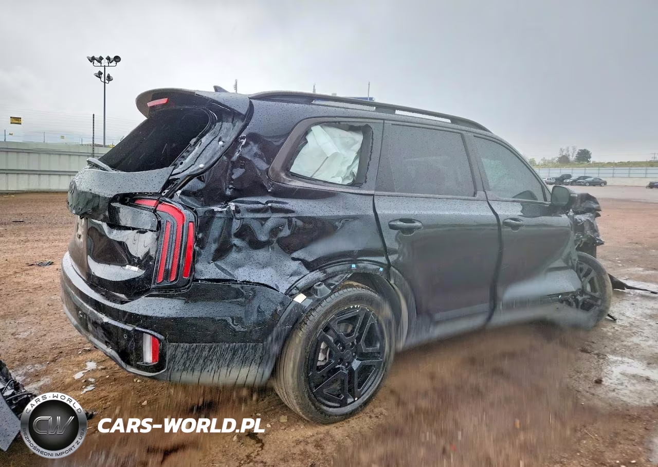 2025 Kia Telluride Sx X-Line VIN:5XYP5DGC1SG698171 - 3