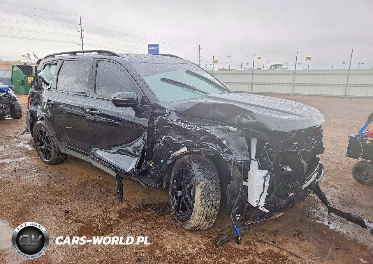 2025 Kia Telluride Sx X-Line VIN:5XYP5DGC1SG698171 - 4
