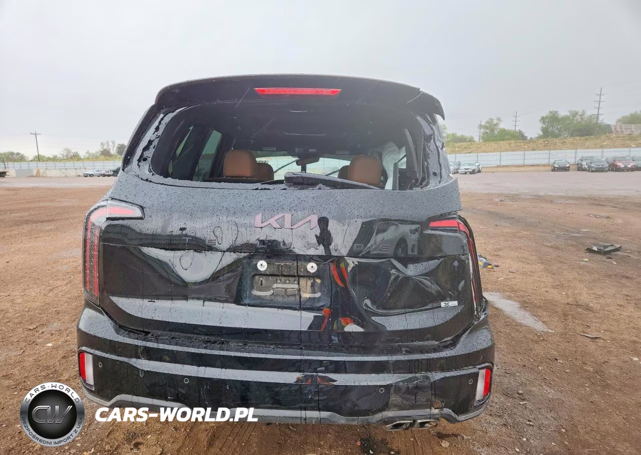2025 Kia Telluride Sx X-Line VIN:5XYP5DGC1SG698171 - 6