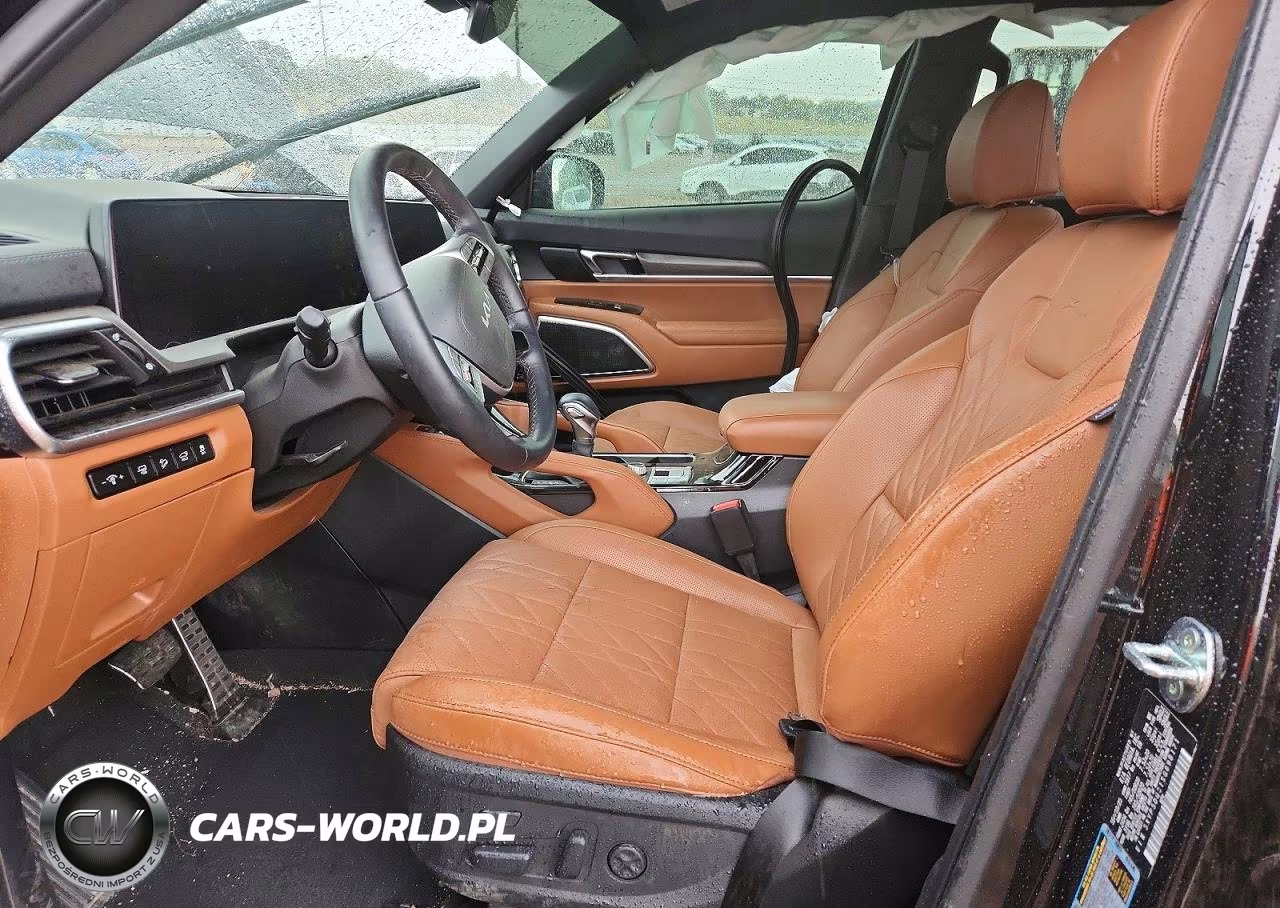 2025 Kia Telluride Sx X-Line VIN:5XYP5DGC1SG698171 - 7