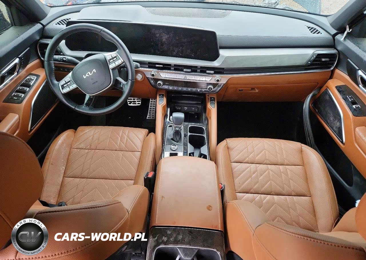 2025 Kia Telluride Sx X-Line VIN:5XYP5DGC1SG698171 - 8