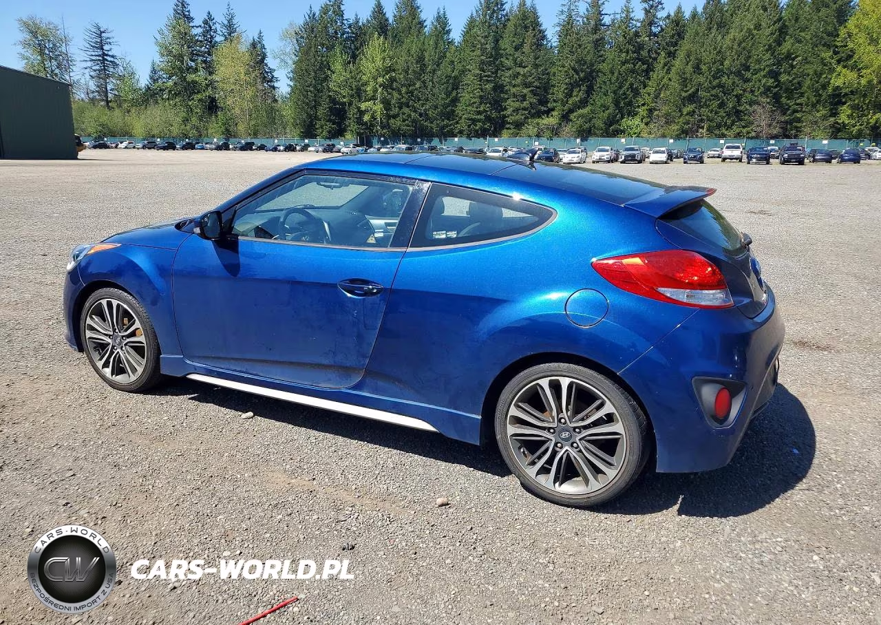 2016 Hyundai Veloster Turbo VIN:KMHTC6AEXGU289758 - 2