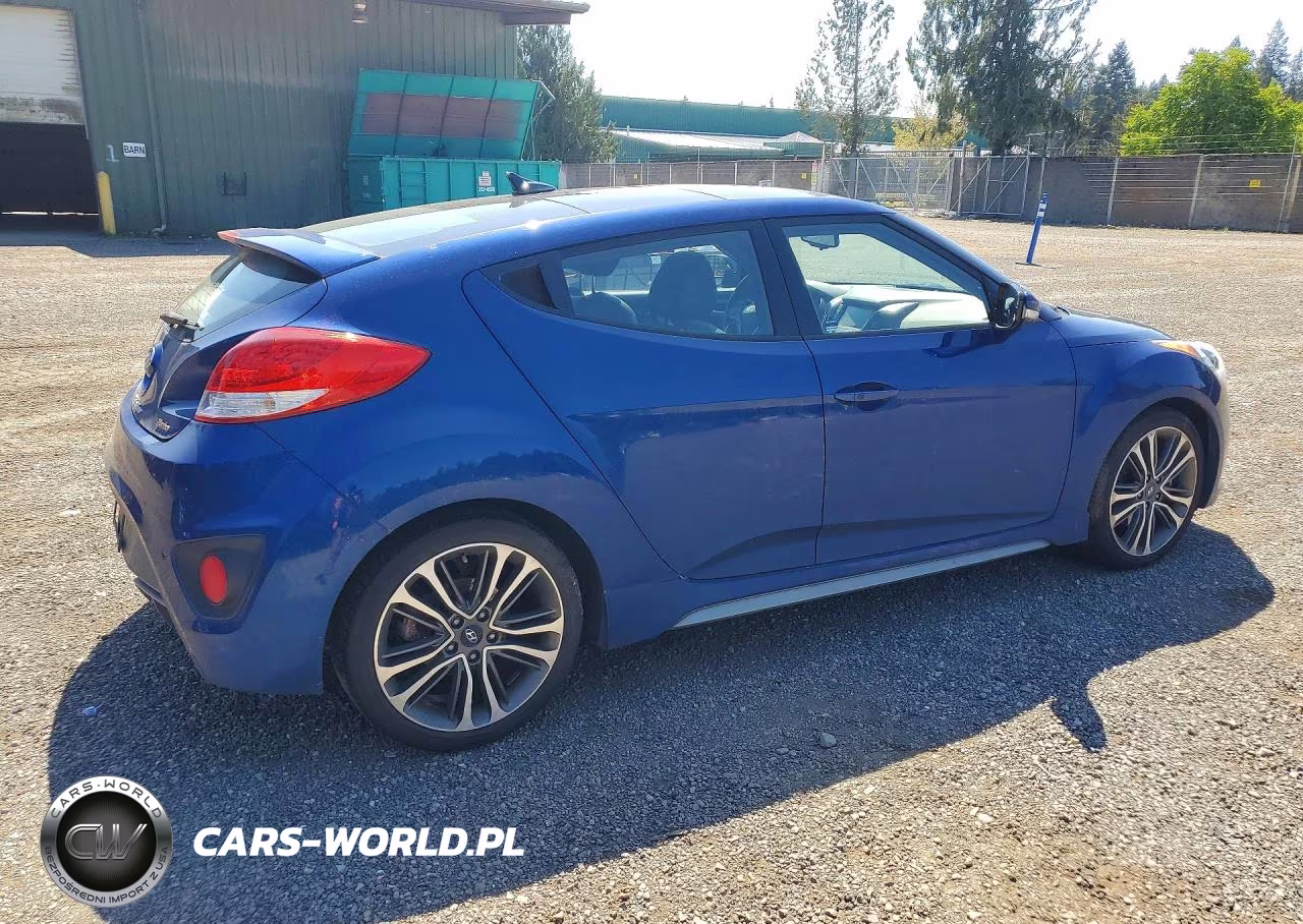 2016 Hyundai Veloster Turbo VIN:KMHTC6AEXGU289758 - 3