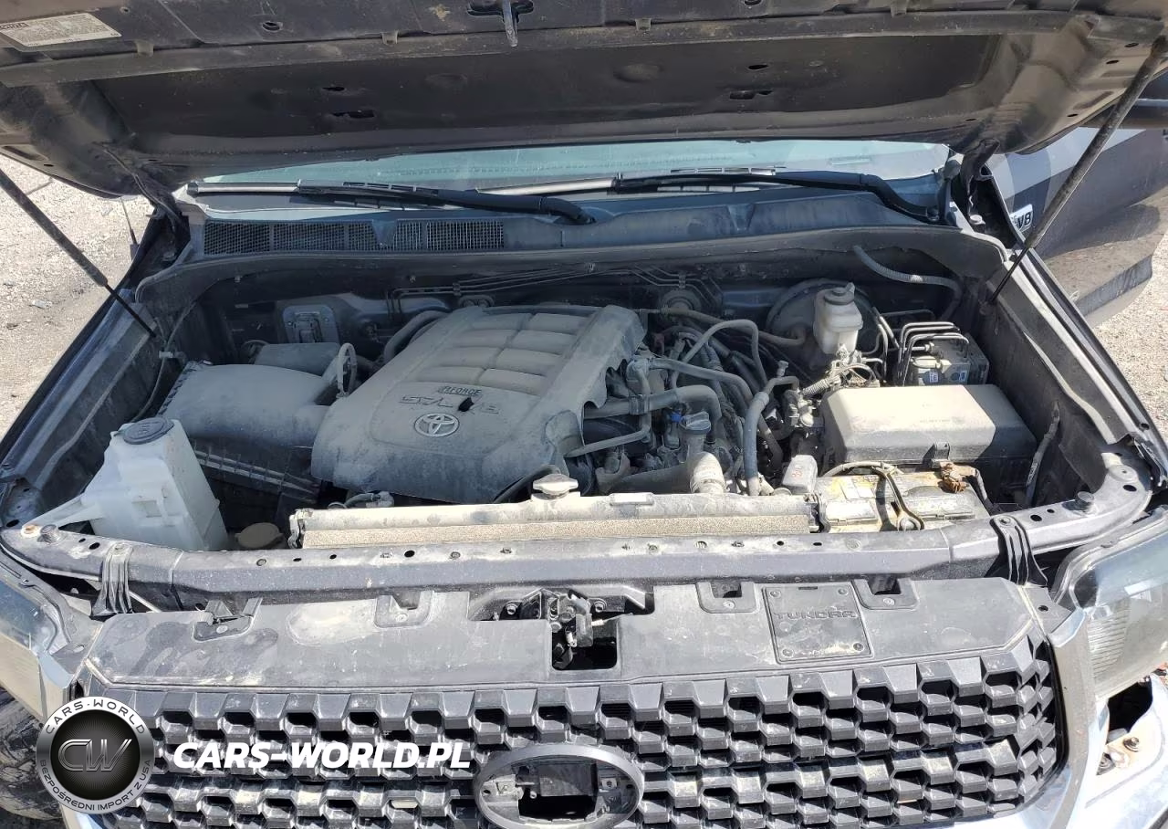 2019 Toyota Tundra Double Cab Sr VIN:5TFCY5F11KX025597 - 11