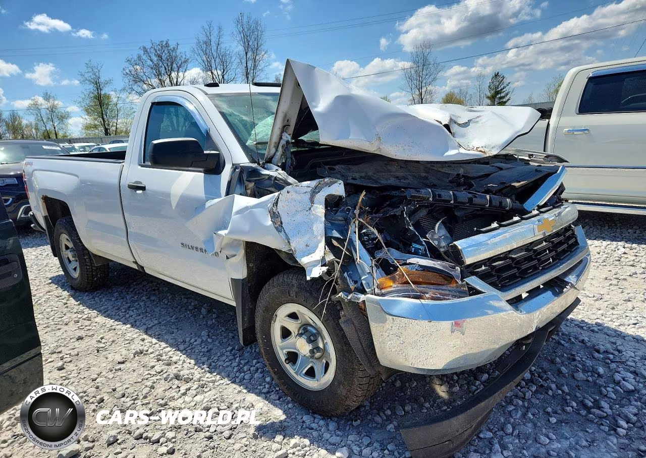 2016 Chevrolet Silverado K1500 VIN:1GCNKNEC4GZ139747 - 4