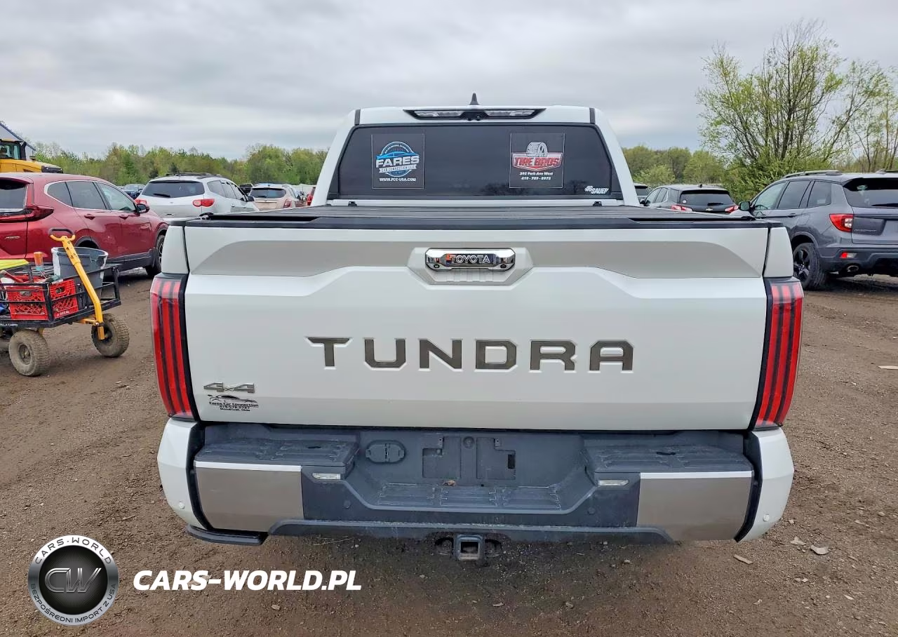 2023 Toyota Tundra Capstone Hv VIN:5TFVC5DB6PX014539 - 6