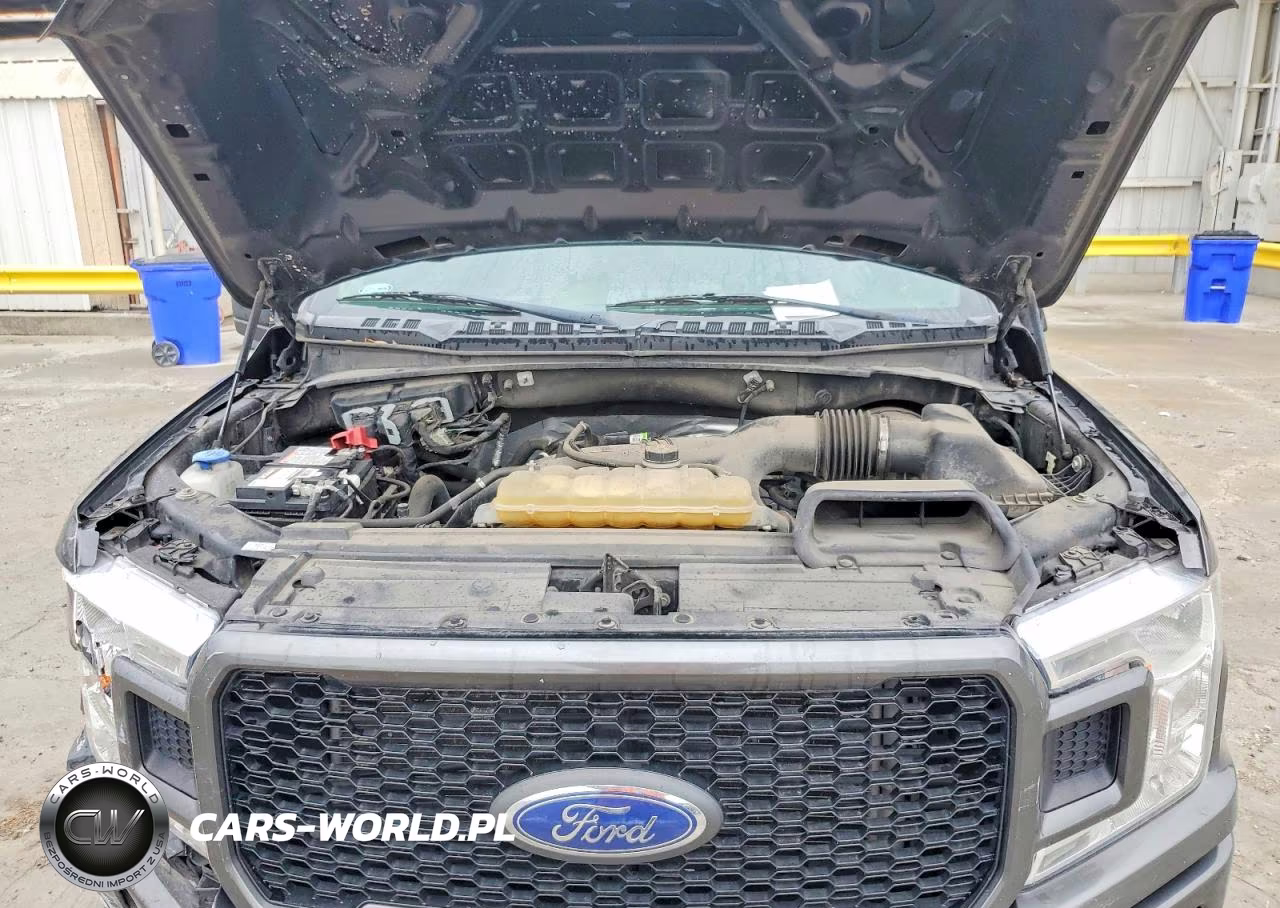 2020 Ford F150 Supercrew VIN:1FTEW1CPXLKD31230 - 11