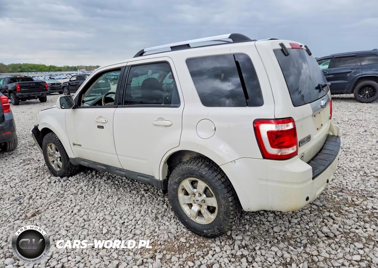 2009 Ford Escape Hybrid VIN:1FMCU49309KB30220 - 2