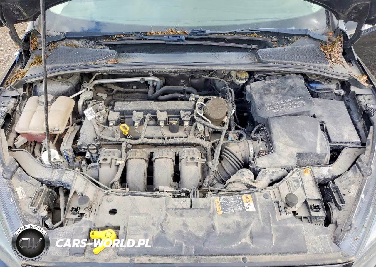 2015 Ford Focus Se VIN:1FADP3K26FL375174 - 11