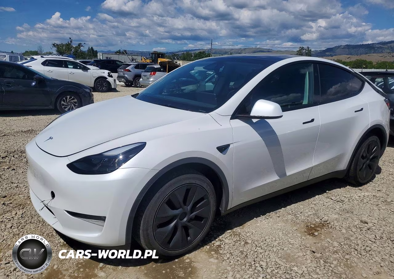 2024 Tesla Model Y