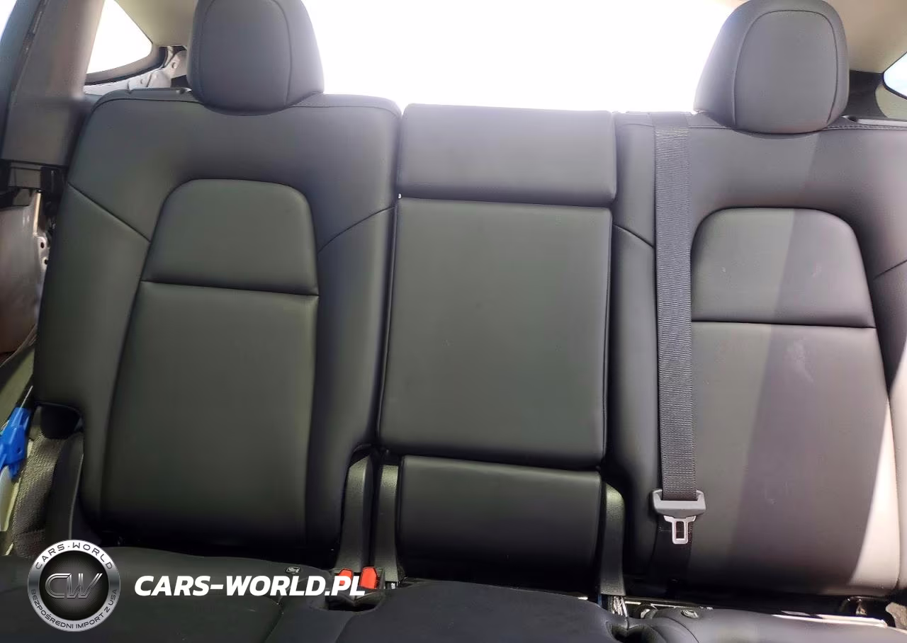 2024 Tesla Model Y VIN:7SAYGDEE8RF185636 - 10
