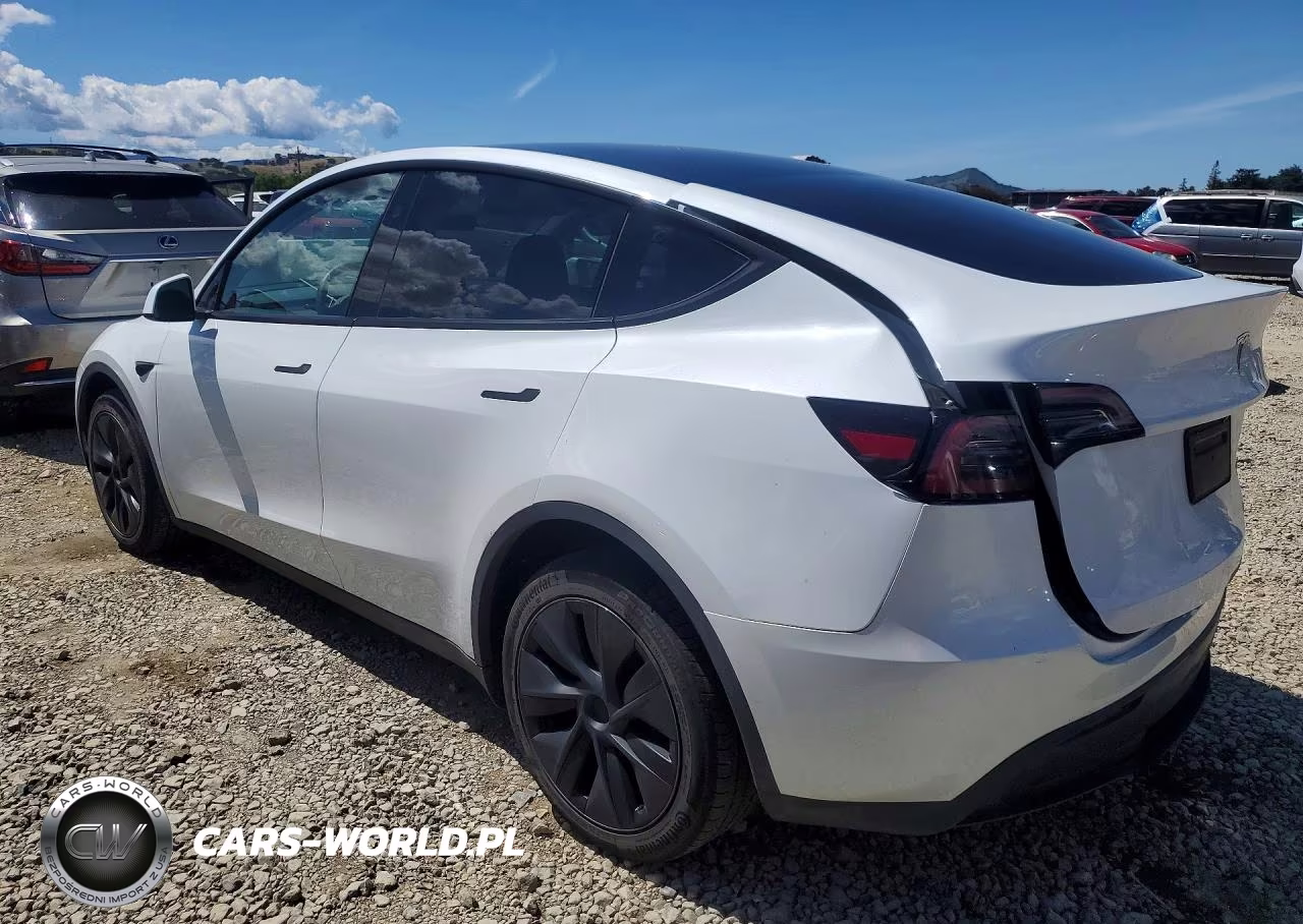 2024 Tesla Model Y VIN:7SAYGDEE8RF185636 - 2