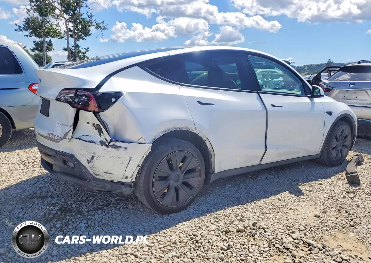 2024 Tesla Model Y VIN:7SAYGDEE8RF185636 - 3