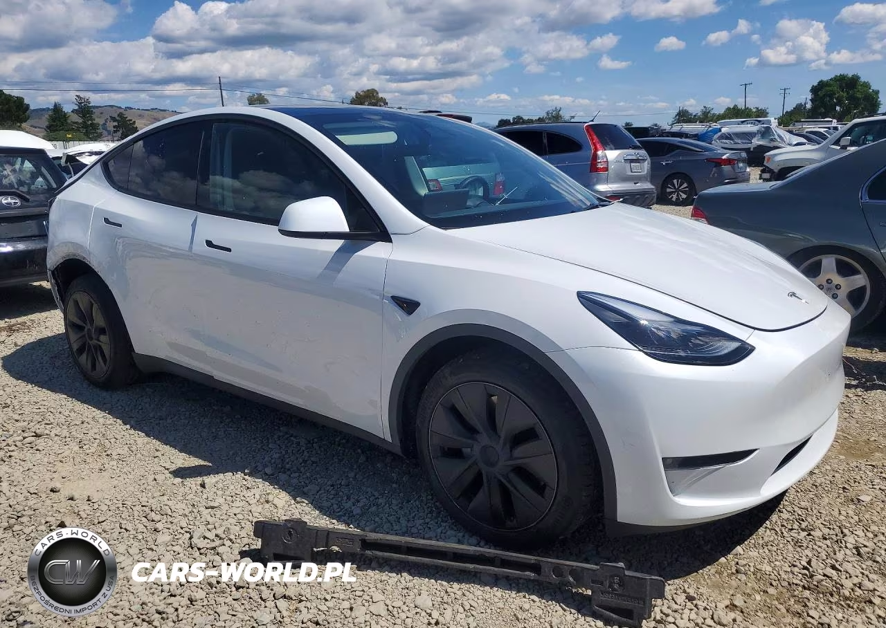 2024 Tesla Model Y VIN:7SAYGDEE8RF185636 - 4