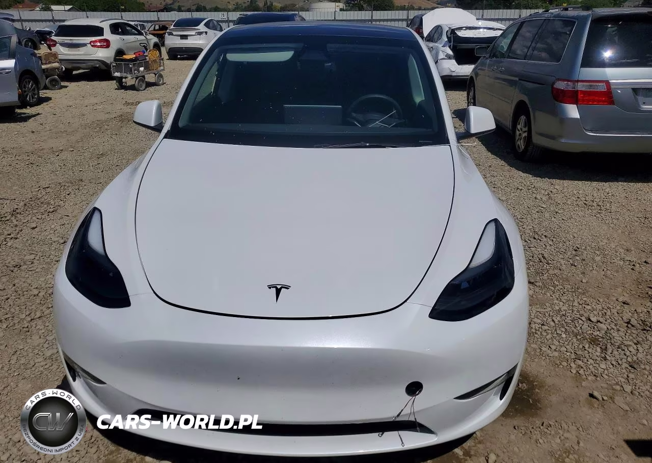 2024 Tesla Model Y VIN:7SAYGDEE8RF185636 - 5