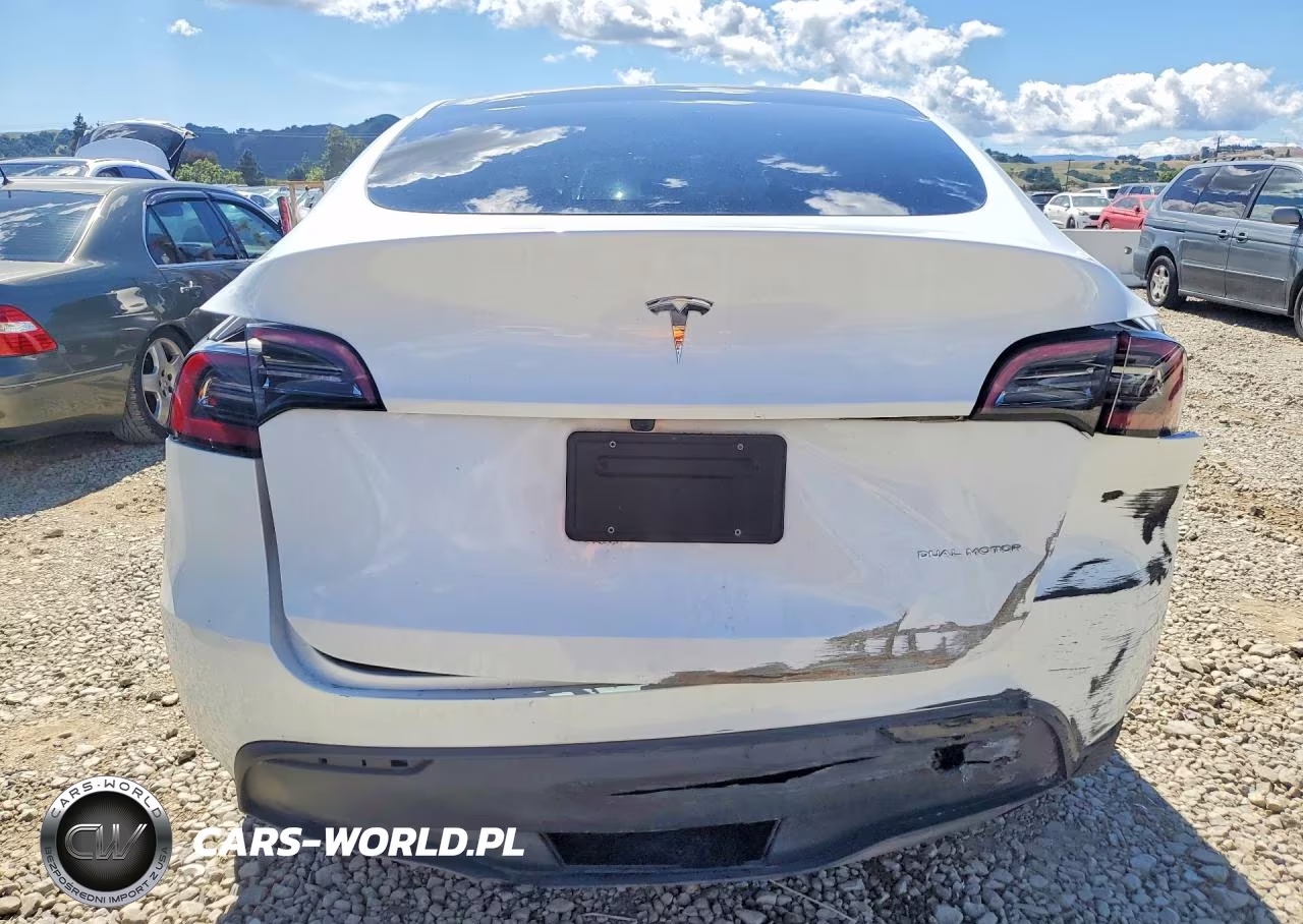 2024 Tesla Model Y VIN:7SAYGDEE8RF185636 - 6