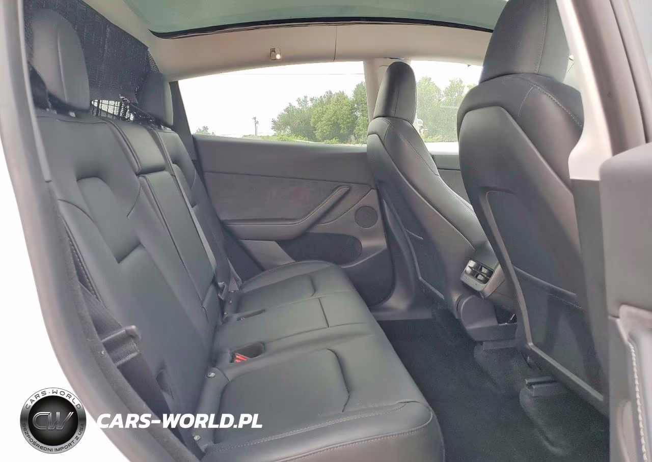 2023 Tesla Model Y VIN:7SAYGDEE0PA062813 - 10