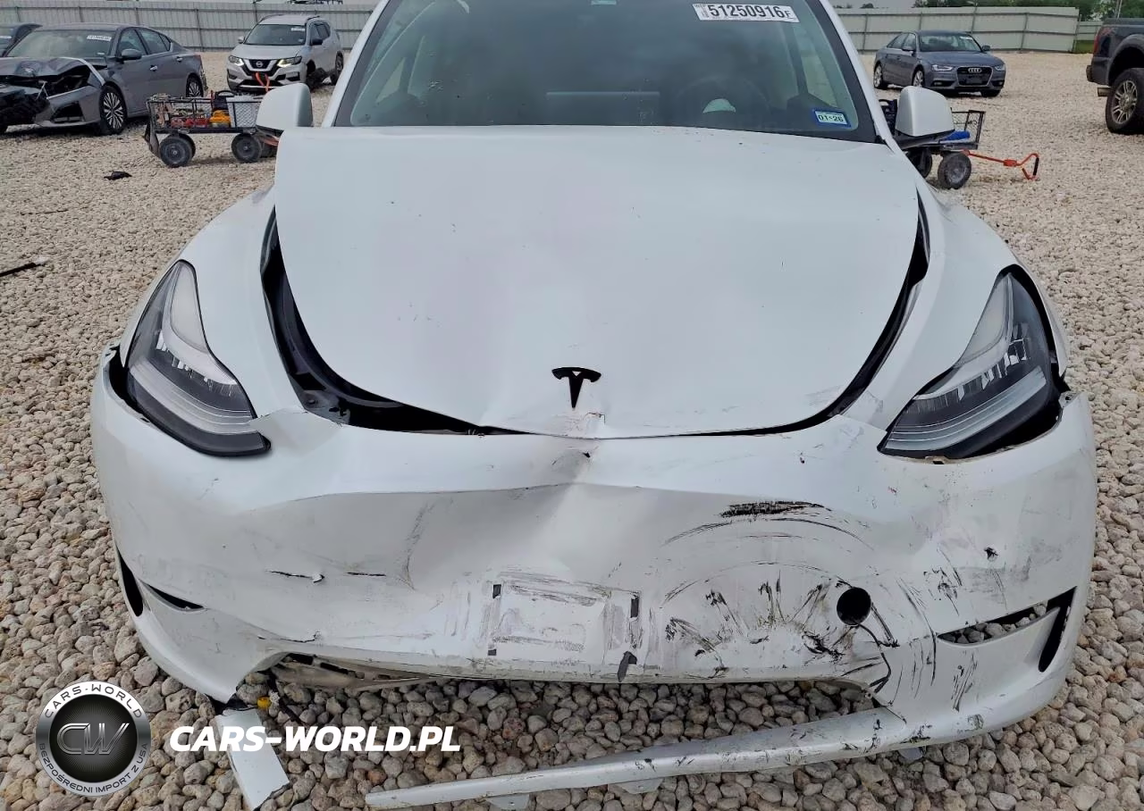 2023 Tesla Model Y VIN:7SAYGDEE0PA062813 - 11