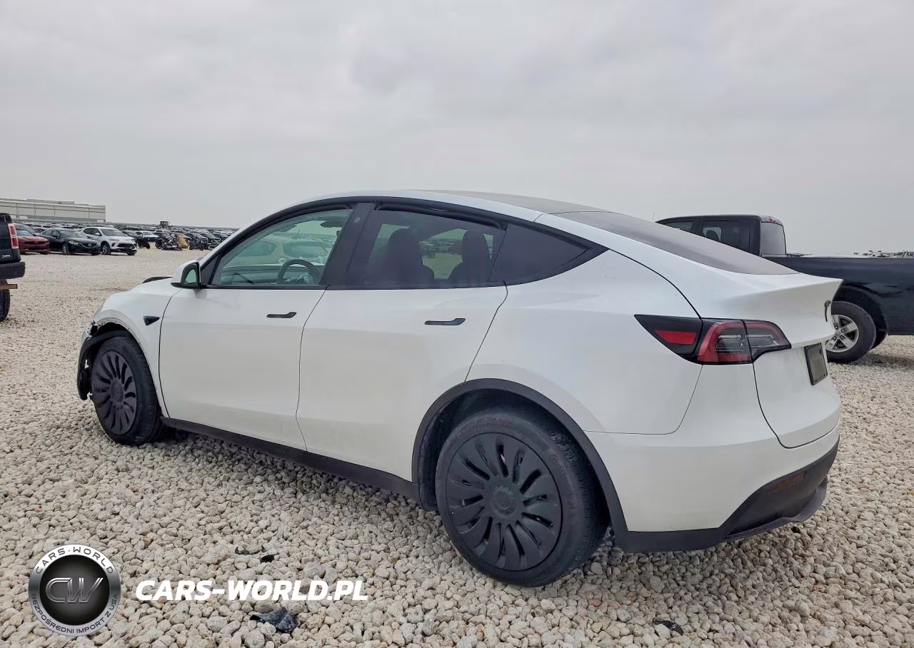2023 Tesla Model Y VIN:7SAYGDEE0PA062813 - 2