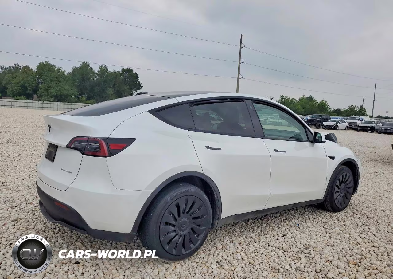 2023 Tesla Model Y VIN:7SAYGDEE0PA062813 - 3