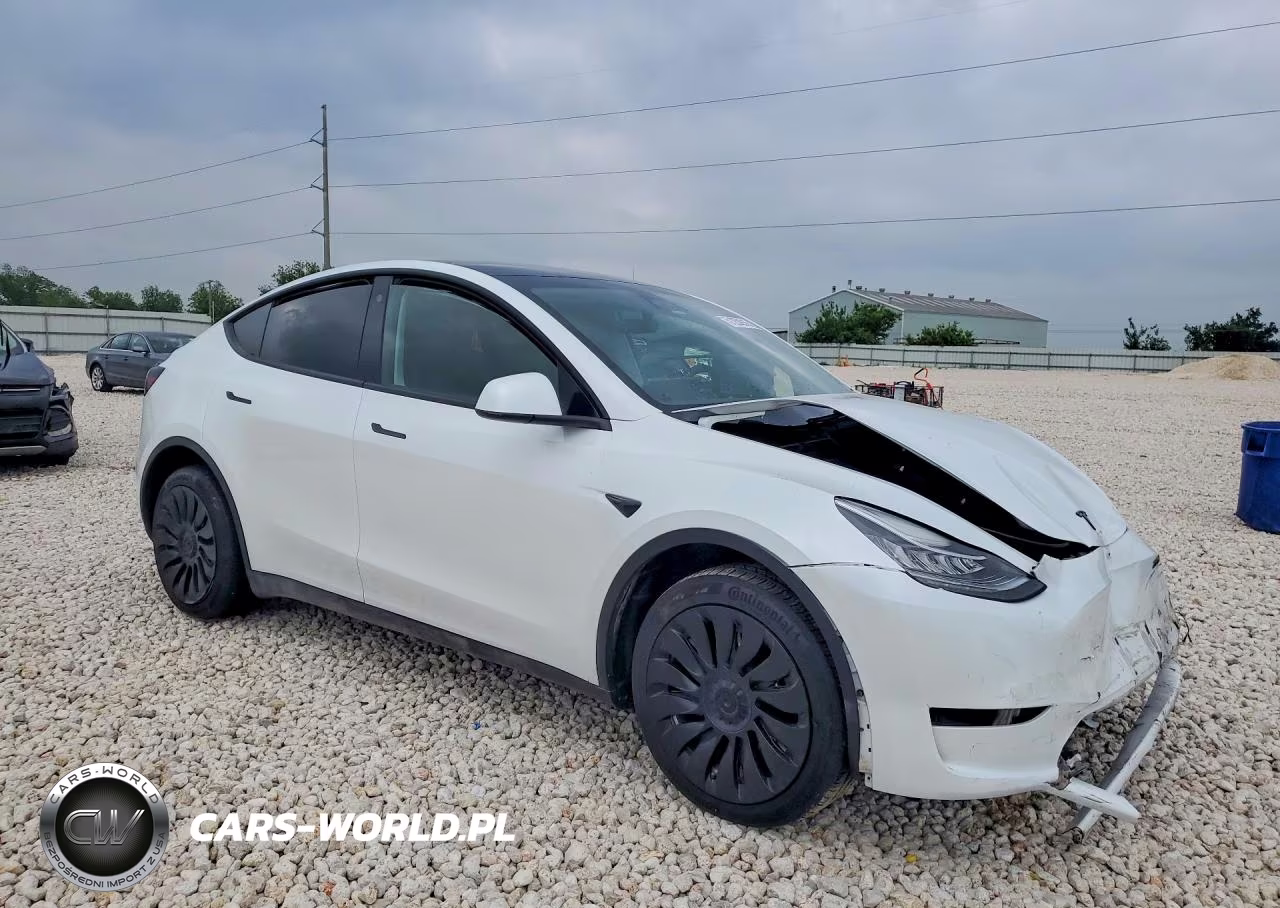 2023 Tesla Model Y VIN:7SAYGDEE0PA062813 - 4