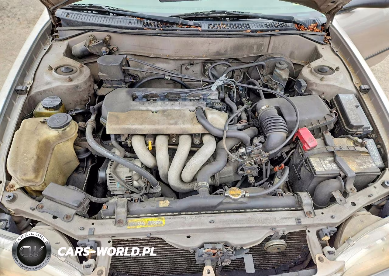 1999 Toyota Corolla Ve VIN:2T1BR12E2XC220608 - 11