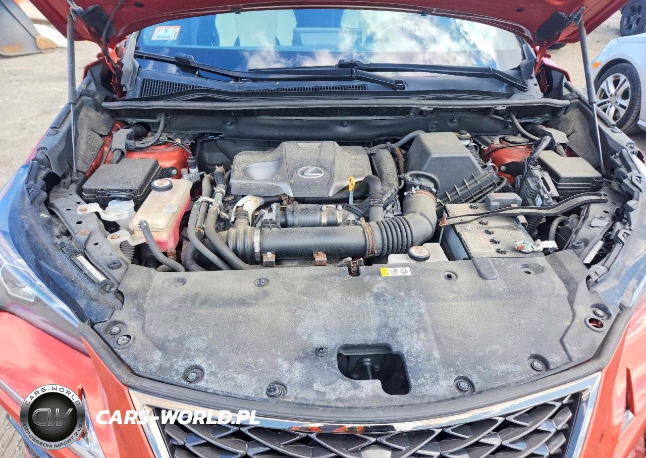 2020 Lexus Nx 300 F Sport VIN:JTJSARDZ0L2223387 - 12