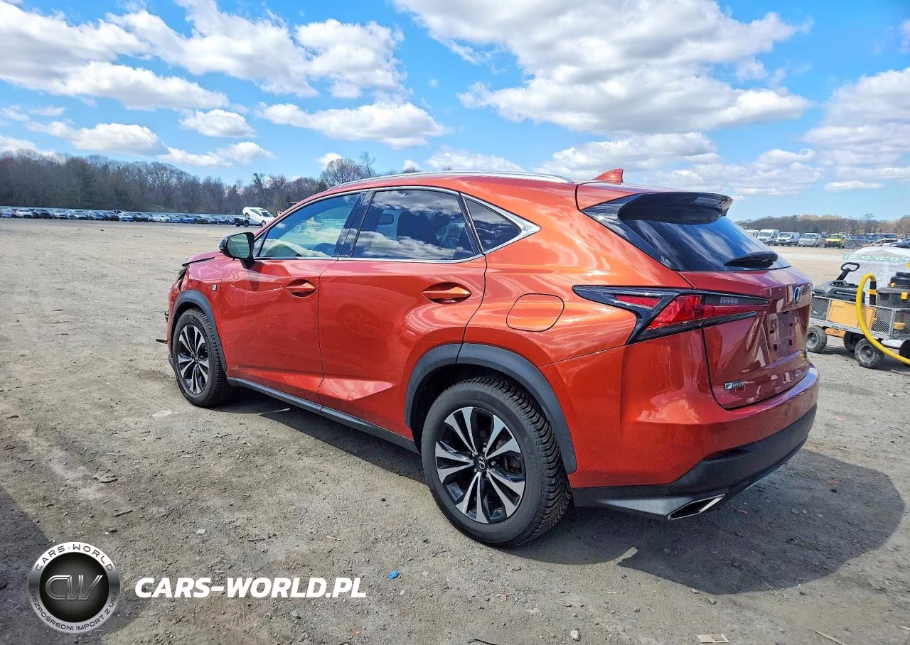 2020 Lexus Nx 300 F Sport VIN:JTJSARDZ0L2223387 - 2