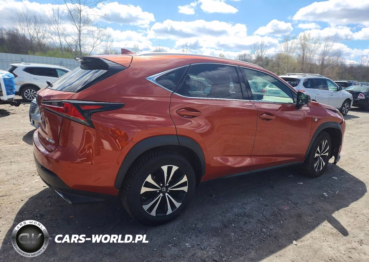 2020 Lexus Nx 300 F Sport VIN:JTJSARDZ0L2223387 - 3