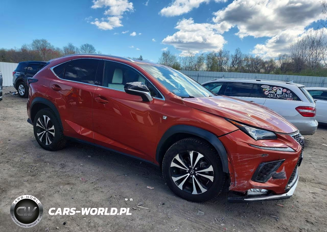 2020 Lexus Nx 300 F Sport VIN:JTJSARDZ0L2223387 - 4