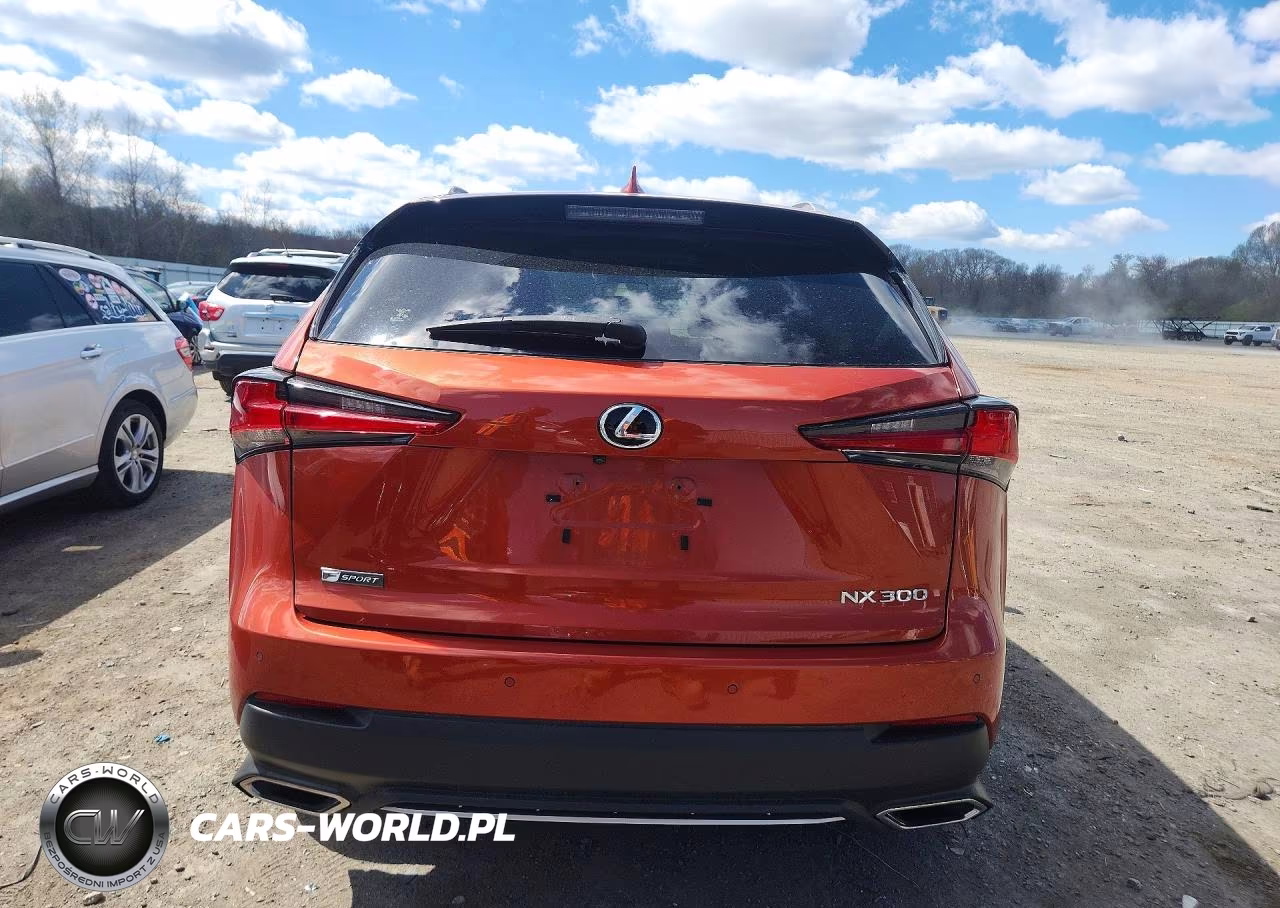 2020 Lexus Nx 300 F Sport VIN:JTJSARDZ0L2223387 - 6