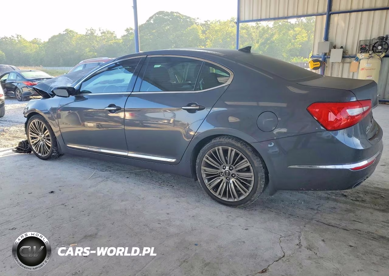 2014 Kia Cadenza Limited VIN:KNALN4D74E5157289 - 2