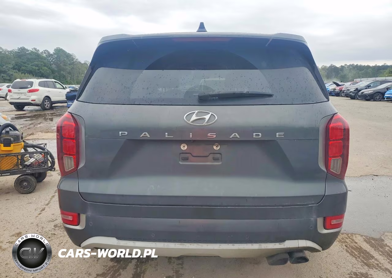 2021 Hyundai Palisade Limited VIN:KM8R54HE0MU215503 - 6
