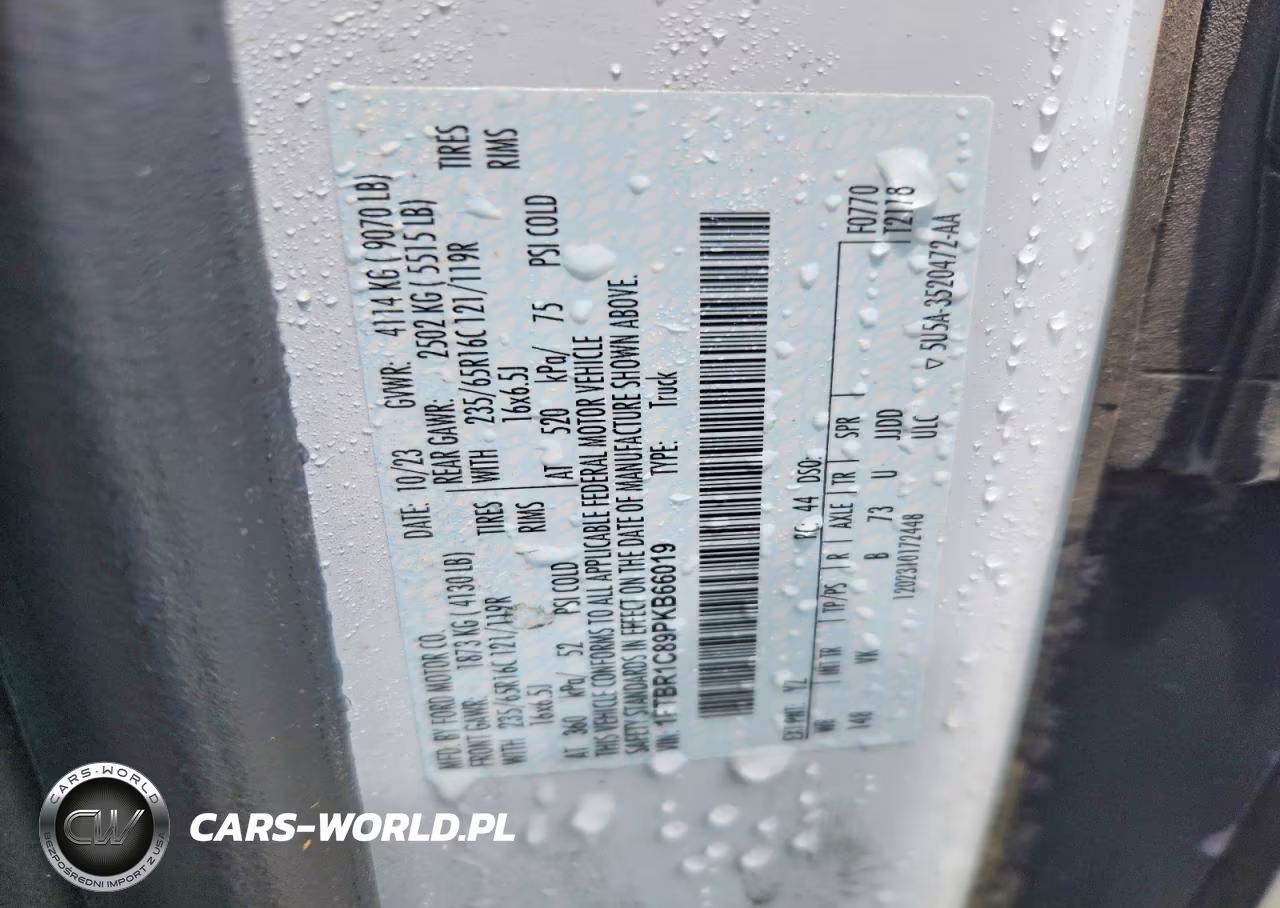 2023 Ford Transit T-250 VIN:1FTBR1C89PKB66019 - 13