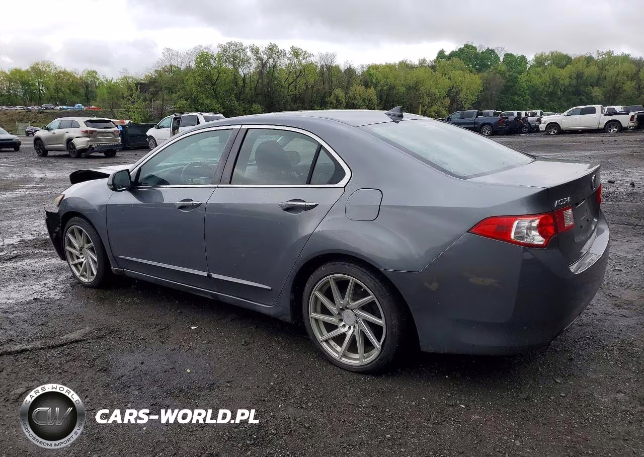 2010 Acura Tsx VIN:JH4CU2F66AC021667 - 2