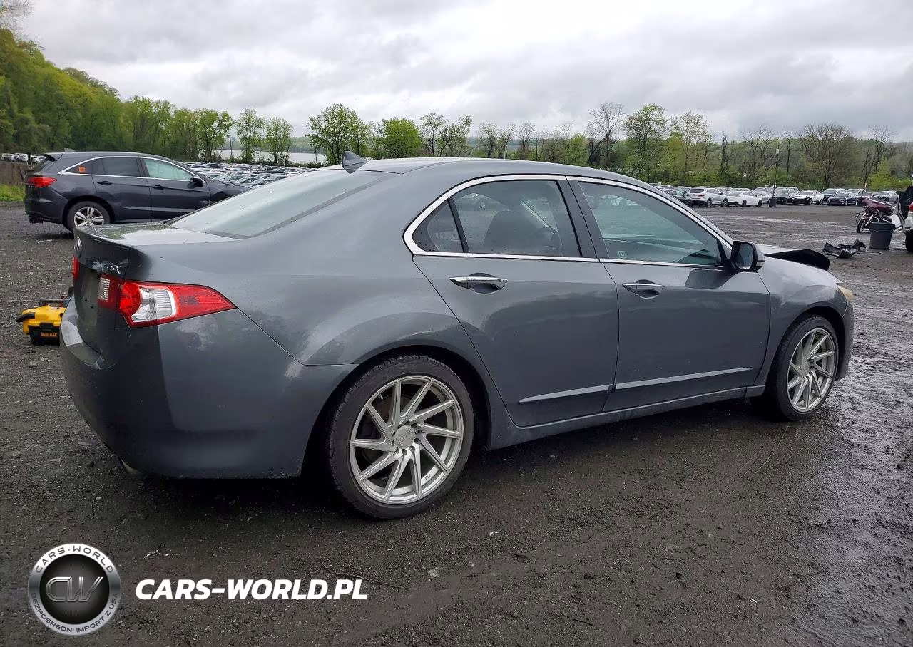 2010 Acura Tsx VIN:JH4CU2F66AC021667 - 3