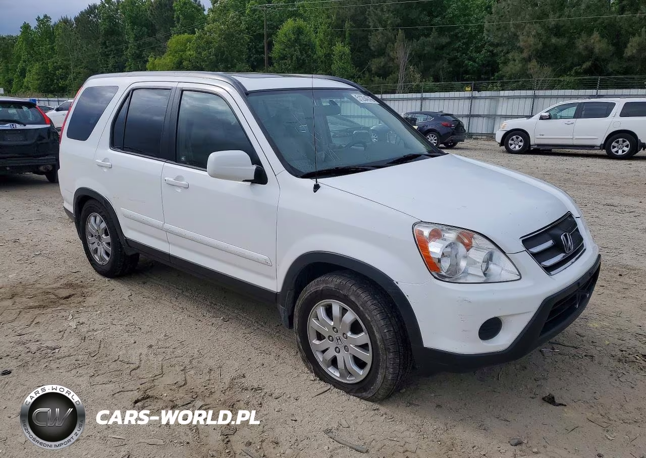 2005 Honda Cr-V Se VIN:JHLRD78925C007273 - 4