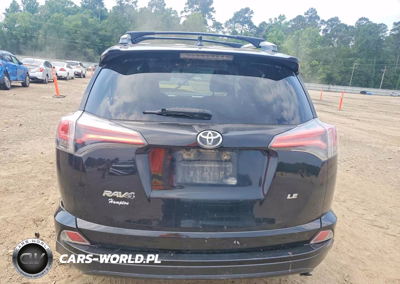 2016 Toyota Rav4 Le VIN:2T3ZFREV0GW310007 - 6