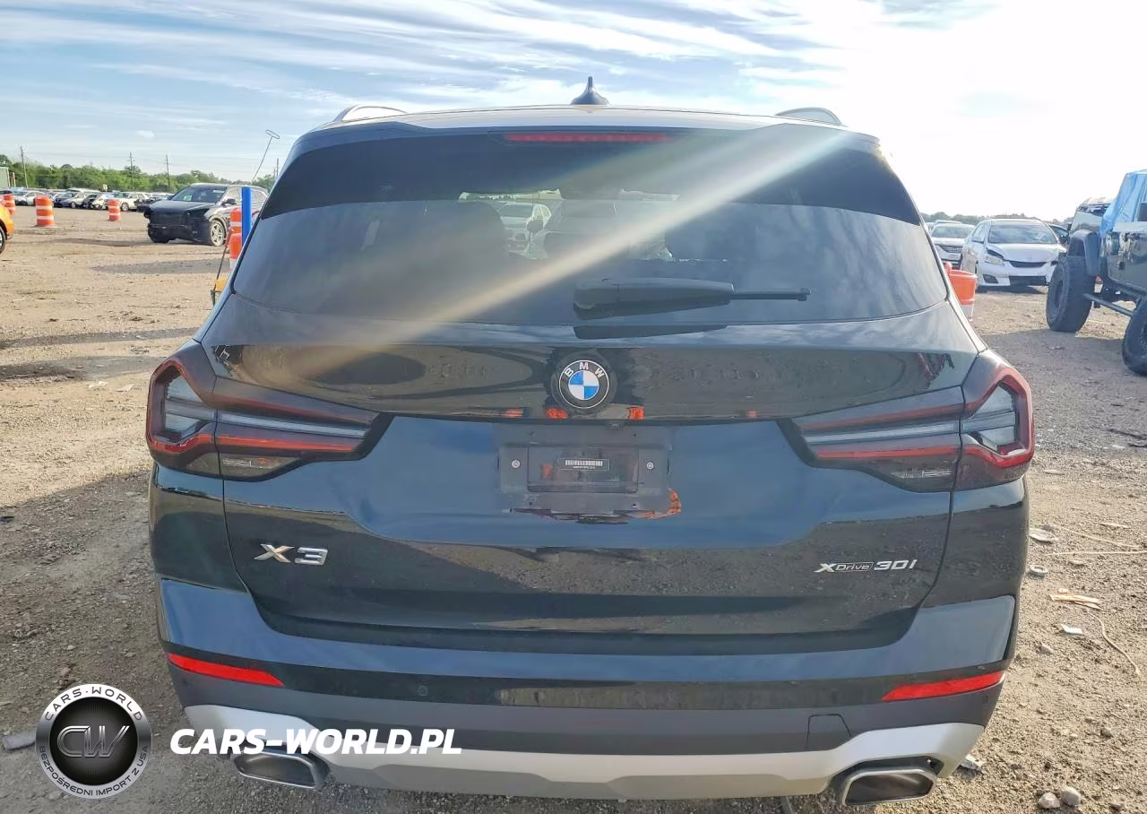 2023 BMW X3 xDrive30I VIN:WBX57DP08PN215012 - 6