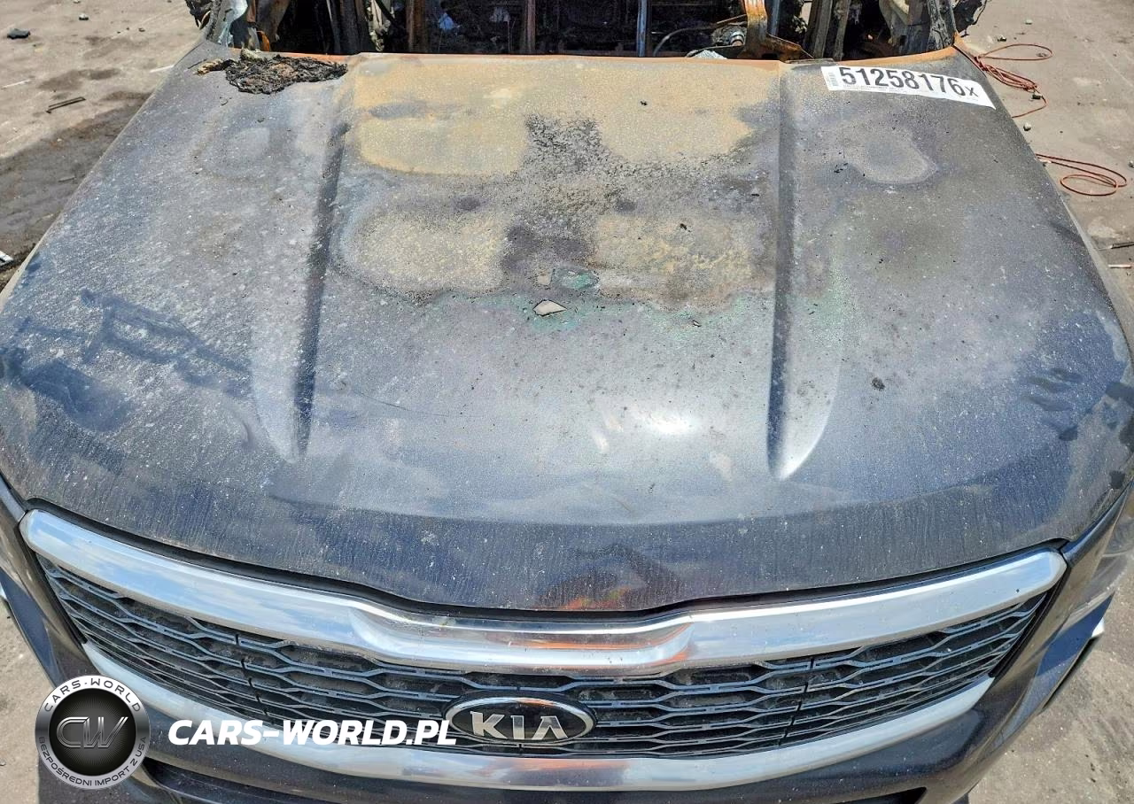 2021 Kia Telluride Lx VIN:5XYP2DHC6MG098434 - 12