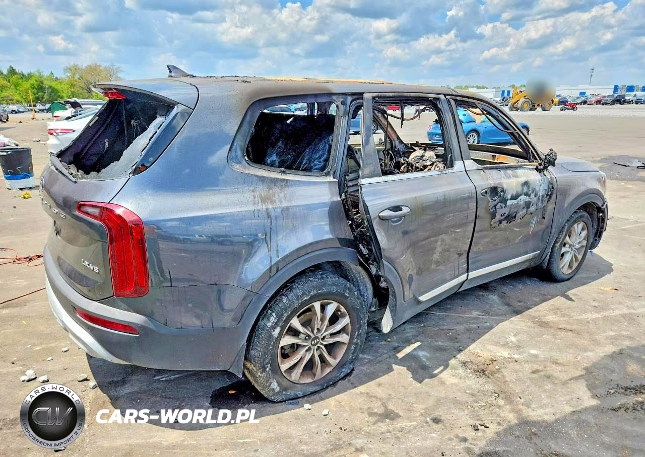 2021 Kia Telluride Lx VIN:5XYP2DHC6MG098434 - 3