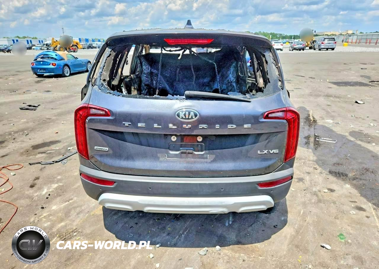 2021 Kia Telluride Lx VIN:5XYP2DHC6MG098434 - 6