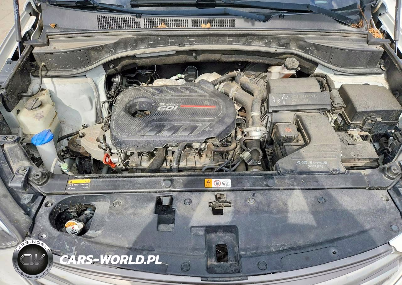 2017 Hyundai Santa Fe Sport 2.0T VIN:5NMZUDLA8HH050390 - 12